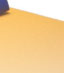 www.physiotherapie-insel-ruegen.de