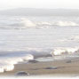 www.physiotherapie-mecklenburg-vorpommern.de