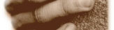 www.ergotherapie-r�gen.de