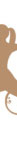 www.stralsund-ergotherapie.de